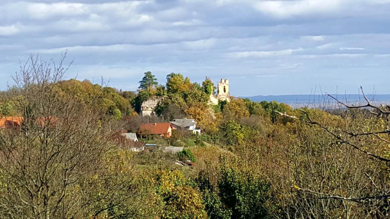 Kuca Za Odmor Vinica Breg Villa Varaždin Екстериор снимка